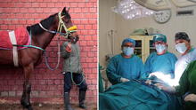 Patada de caballo provoca traumatismo a una menor: tuvo que ser operada en Pasco