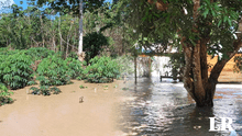 Madre de Dios: comunidades de Shipetiari y Palotoa Teparo están inundadas debido a intensas lluvias
