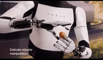Elon Musk presenta a robot humanoide que es capaz de manipular objetos con delicadeza