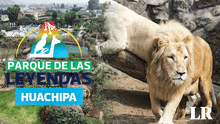 Parque de las Leyendas en Huachipa: conoce los horarios, precios y atractivos para el verano 2024