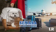 ¿Quieres viajar fuera del país con tu mascota? Conoce los requisitos para hacerlo, según Senasa