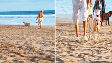 Familia pierde a su perrita y la encuentran paseando con su nuevo dueño en la playa: “Nos ignoró”