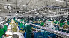 Agroexportadoras aportarán solo 6% a EsSalud desde hoy