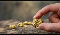 Científicos descubrieron el método para fabricar oro de forma natural: una bacteria es la solución