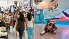 Lista de malls pet friendly en Lima: conoce los centros comerciales que aceptan mascotas