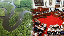Especialistas sobre Ley Forestal en el Congreso: “Nuestras autoridades están regalando el Perú”