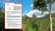 Congresista Alfredo Pariona presenta proyecto para derogar modificaciones a Ley Forestal