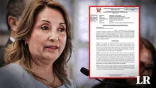 Gómez Fernandini: “El Legislativo está dispuesto a pasar por agua tibia cualquier cosa a Dina Boluarte”