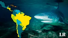 El único país del mundo donde puedes encontrar tiburones en lagos está en Latinoamérica