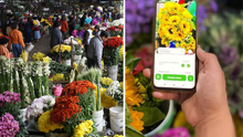 Mercado Mayorista de Flores de Lima lanza su primera app para comprar en línea: ¿cómo descargarla?