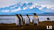 Los países de Sudamérica que reclaman la soberanía de la Antártida