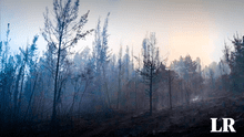 Más de 17.000 hectáreas fueron afectadas por incendio forestal en Colombia: aún figuran 34 incendios activos