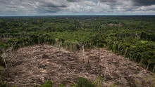 ¿Por qué la modificación de la ley forestal es una grave amenaza para la función de los bosques en la Amazonía?