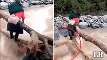 Mujer y perrito arriesgan su vida al cruzar caudaloso río: animal es arrastrado por el agua
