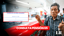Pensión 65, febrero 2024: LINK para consultar con DNI si eres afiliado