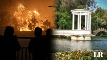 Incendios en Viña del Mar consumen el Jardín Botánico y dejan 4 muertos