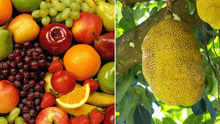 La tropical fruta de 7 sabores que ayuda a prevenir el cáncer y aporta vitamina C de manera natural