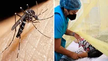 ¿Sabes cómo diferenciar el dengue de la gripe? Consejos de experta