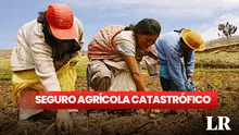 Gobierno brinda desde S/400 a agricultores: ¿cuál es la cobertura del Seguro Agrícola Catastrófico?