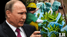 Ecuador podría perder a Rusia como cliente de plátanos tras apoyo a Estados Unidos