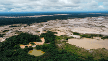 Agencia internacional advierte que Ley Forestal legaliza deforestación y fomenta más destrucción
