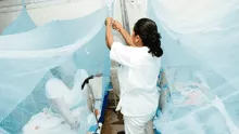 Alerta por casos de dengue en Cusco: 1 fallecido y 272 casos en La Convención