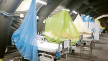 Reportan tres muertes por dengue en Áncash y Cusco