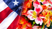 Estados Unidos es el principal mercado de destino de las flores peruanas