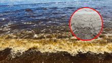 Extraña coloración marrón aparece en el mar desde Pisco hasta Chimbote: ¿a qué se debe este fenómeno?