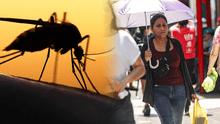 Cómo prevenir el dengue: sigue estas 6 recomendaciones para evitar el contagio de este mosquito