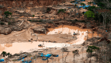 Minería ilegal en Venezuela ocasionó deforestación de un equivalente a 40.000 campos de fútbol
