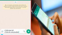 WhatsApp: ¿qué pasa si escribes el signo '>' antes de enviar un mensaje a tus amigos?