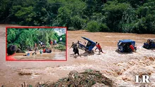 Vecinos salvan a toro de ser arrastrado por turbulentas aguas de río en Chulucanas