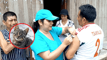 Caso de rabia en Amazonas: 2 niñas mueren tras ser mordidas por gato callejero