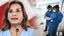 Gobierno de Dina Boluarte emite alerta por epidemia de dengue en Perú: ¿cuál es el plan?