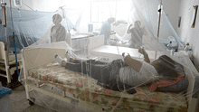 Van 32 muertos por dengue y ponen al país en emergencia