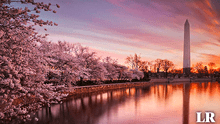 Festival de Cerezos en Flor 2024: ¿qué día se realizará en Washington D. C.?