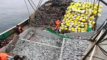 Produce autoriza inicio de la primera temporada de pesca de anchoveta 2024 en zona sur