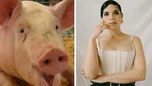 América ferrera de cuidadora de cerdo a nominada a los Oscar 2024 por su monólogo feminista en 'Barbie'