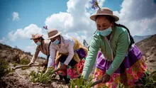¿Cuándo se conmemora el Día de la Mujer en Perú y por qué se designó esta fecha?