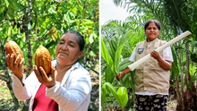 Conoce a las lideresas amazónicas que sobresalen en el ámbito agrícola: "Me dieron a elegir entre mi familia o mi trabajo"