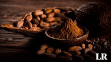 Ni México ni Perú: conoce el país de Sudamérica donde nació el cacao, según estudio