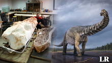 Increíble hallazgo: encuentran esqueleto de titanosaurio de 70 millones de años en Francia