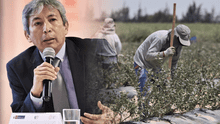 MEF descarta "rescate" total de la Ley Chlimper, pero adelanta reforma laboral del agro