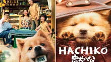 ‘Hachiko 2’: fecha de estreno, sinopsis, tráiler y todo sobre la secuela del perro ‘más fiel del mundo’