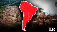 Junto a Brasil y Bolivia: este es el país de Sudamérica con la tercera mayor deforestación en la región