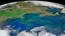 El océano cuyas corrientes van en sentido contrario y podrían colapsar por el cambio climático