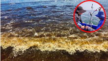 Reportan 'marea roja' en playas de Pisco: ¿qué es este fenómeno y por qué es peligroso?