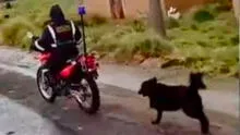 Puno: sereno amarra a un perrito herido a su moto y lo arrastra por calles de la ciudad
