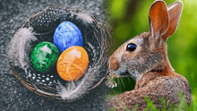 Semana Santa 2024: ¿cómo surgió la historia del conejo de Pascua en Estados Unidos?